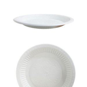 중 위생접시 200mm 50개 일회용품 일회용품 일회용기