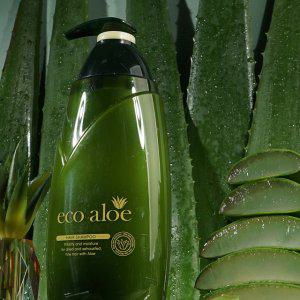 푸석한모발 허브성분함유 촉촉하게 알로에 샴푸 760ml