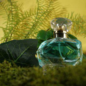 아르테미시아 복잡한 머릿속 지친하루 여성향수 30ml