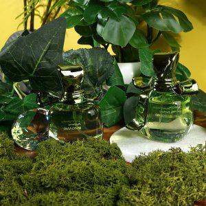 따뜻한 릴리 화이트피치 프리지아 여성향수 30ml 2개