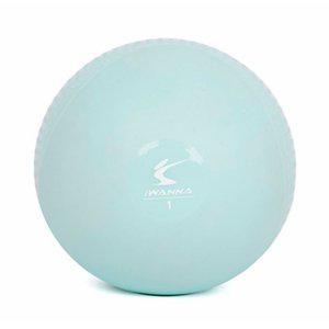 마사지볼 토닝볼 1kg x 2 웨이트볼 폼볼 스트레칭볼