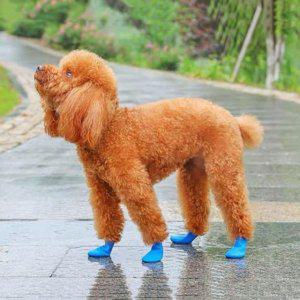 강아지 우의 반려동물 레인 부츠 우비 레인코트 발