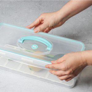 대파보관 4.2L 냉장고 야채 대파통 밀폐용기 보관용기