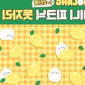 돗자리 미니 몰랑 12인용 피크닉