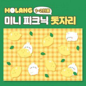 돗자리 몰랑 12인용 피크닉 미니