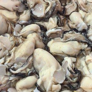 싱싱한 통영 생굴 1kg 손질 깐굴 통영굴 김장 석화굴