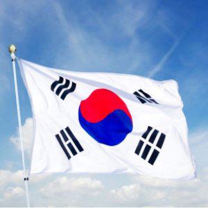 응원용 게양용 대형 90x135 태극기