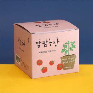 식물키트 어린이집 모종키우기 어린이식물재배 방울토마토키우기