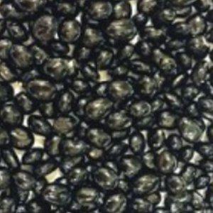 서리태콩씨앗 품종 식물 서리태콩종자 서리태식물씨 곡물씨앗