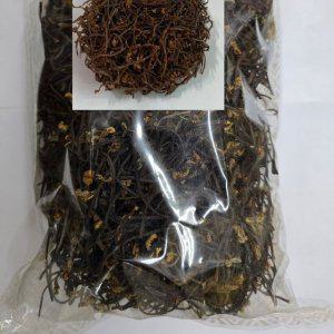 건고사리 1kg