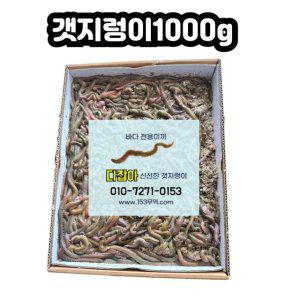 생물 갯지렁이 청개비 1000g 낚시미끼