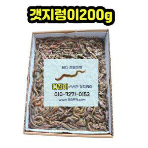 생물 갯지렁이 청개비 200g 낚시 미끼