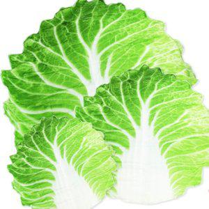 쇼파담요 패딩 캠핑 극세사 슬립잉퍼 양털 군용모포 두꺼운밍크 이불 군용 배추담요 대