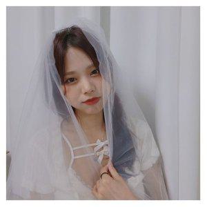 셀프 드레스샵 면사포 웨딩 웨딩촬영 브라이덜샤