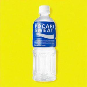 이온음료 포카리스웨트 페트 500ml 20개 스포츠 음료