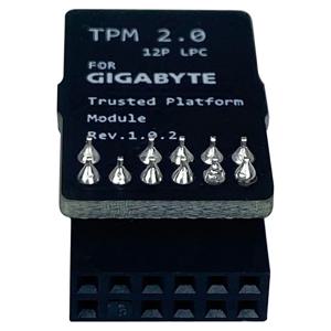 지금 구매 TPM2.0 모듈 LPC 12핀 모듈(Infineon SLB9665 포함) GC-TPM2.0 S용 기가바이트 마더보드용 Windows 11 업그레이드
