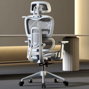 컴퓨터 의자 인체 공학적 등받이 지원 사무실 의자 무료 배송 바퀴 조절 가능 Sedia Da Ufficio Chaise De Bureau Furnitur