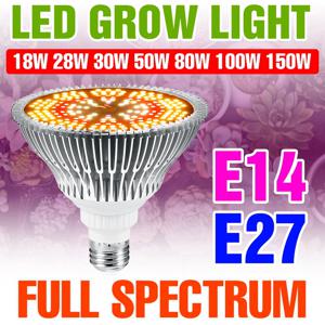 150W E27 LED 식물 성장 전구 전체 스펙트럼 E14 야채 모종 꽃 과일 재배 수경법 성장 램프