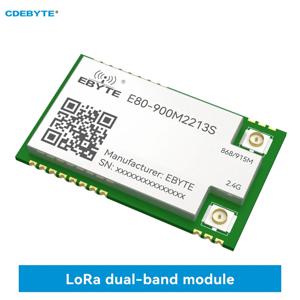 LR1121 LoRa 스프레드 스펙트럼 모듈, 듀얼 밴드 868Mhz 915Mhz 2.4G SMD TCXO CDEBYTE E80-900M2213S SPI RF 모듈 서브 G