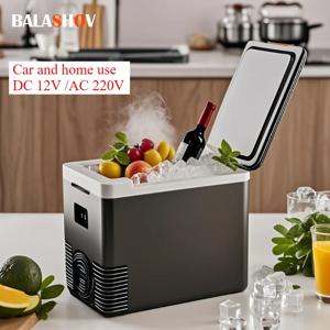 220V 가정용 냉장고 12V 자동차 냉장고 냉동고 히터 10L 미니 자동 냉동고 쿨러 및 따뜻한 전기 냉장고 휴대용 아이스 박스