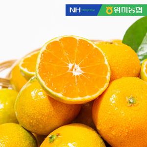 [제주위미농협] 문주왕 하우스 제주 감귤 3kg (31-50과 내외)