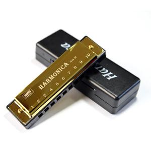 하모니카 C 키 10 홀 Diatonic Harmonica C 초급 학생용 케이스 포함 어린이 선물 BLUES 케이스 포함