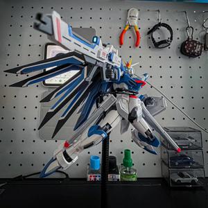 플라잉 프리덤 HG 1/144 SEEDFREEDMO Mech 조립 모델 키트 액션 피규어 어린이 장난감 데스크탑 장식 Collectible Gift