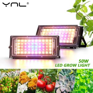 50W 220V Led 성장 빛 식물 수경 램프 온실 씨앗에 대 한 전체 스펙트럼 LED 꽃 수경 식물 성장 조명