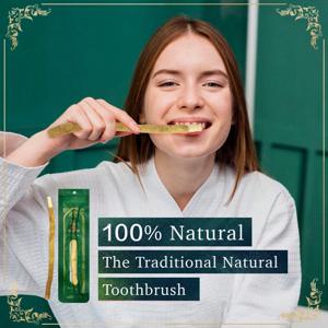 크리 에이 티브 자연 지점 Miswak 칫솔 스틱 치아를위한 휴대용 전통적인 천연 칫솔 구강 건강 신선한 호흡 선물