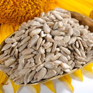 해바라기씨 500g x 2봉 [총 1kg]