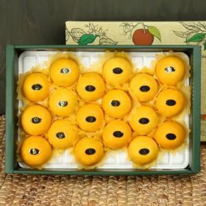 [지장샘농장] 제주 명품 황금향 과일 선물세트 1.5kg 2.5kg 4.5kg 선물세트