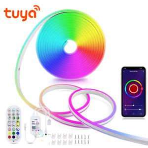 Tuya 스마트 라이프 WiFi LED 네온 라이트 스트립 12V LED 스트립 RGB 네온 사인 테이프 장식 Alexa Google 홈 실리카 젤 클립 포함