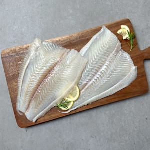 [은하수산]국내산 제주 광어회 필렛 550g