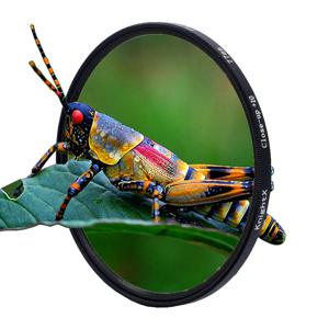 매크로 클로즈업 렌즈 필터 + 10 필터 키트 Canon Nikon Sony 카메라 용 49mm 52mm 55mm 58mm 62mm 67mm 72mm 77mm
