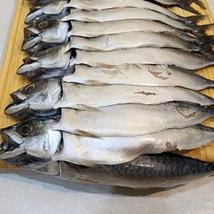[푸디앤]  파지 자반 고등어 1세트 (8미~12미 내외) /겉보기가 그렇게 중요한가요? 중요한 건 맛 입니다.