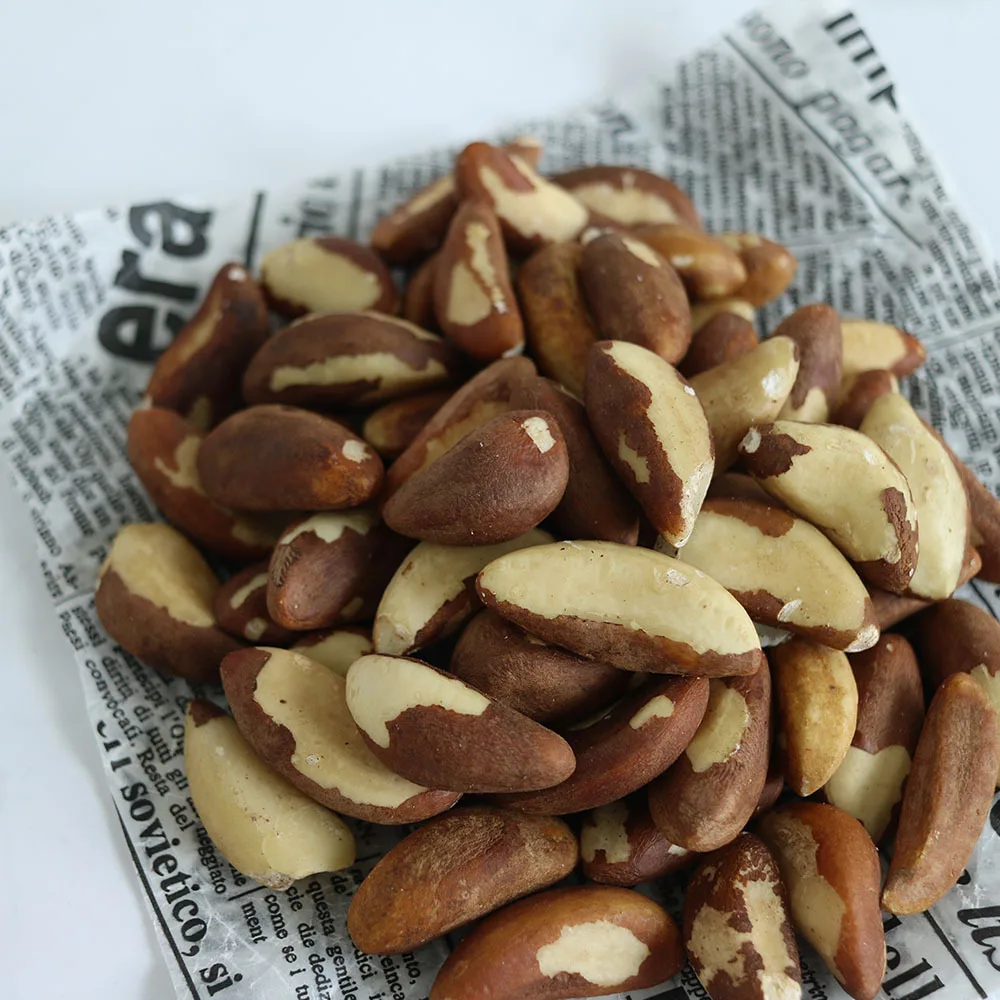 브라질 너트 100g - 1kg