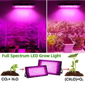 전체 스펙트럼 LED 식물 성장 빛 AC220V 50/100/200/300W 온실 수경 식물 꽃 씨앗 성장 빛에 대 한 스위치