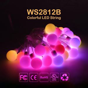 WS2812B 드림 컬러 RGB LED 라운드 볼 문자열 조명 크리스마스 파티 생일 장식 개별적으로 주소 지정 가능 IP67 DC5V