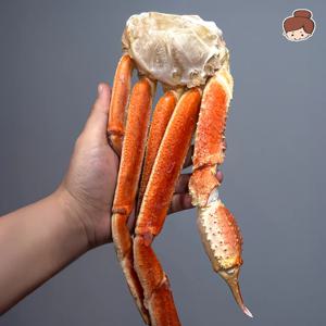 깔끔 손질 프리미엄 러시아 스노우크랩 대게 섹션