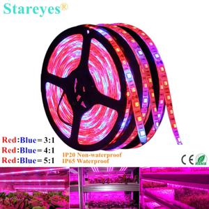 SMD 5050 60LED/m 5m LED 스트립 성장 빛 전체 스펙트럼 꽃 식물 식물 성장 램프 온실 수경 식물 성장