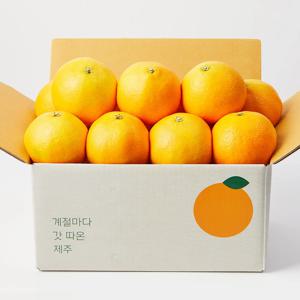 고당도 제주 황금향 2kg 4.5kg