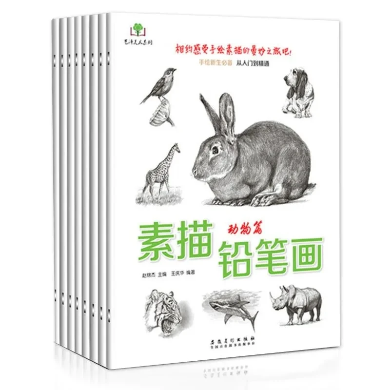 스케치 연필 드로잉 초보자부터 능숙한 학생까지 손으로 그린 ​​스케치 자습 연필 드로잉 교과서 및 도서