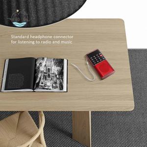 AED6-L-328 미니 휴대용 포켓 FM 자동 스캔 라디오 음악 오디오 MP3 플레이어 야외용 소형 스피커 음성 녹음기 포함