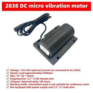 2838 DC 12V24V 진동기 마사지 침대 전용 마이크로 진동 모터 DC 강력한 진동 모터 마사지 코어 액세서리