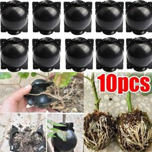 10Pcs 재사용 가능한 식물 뿌리 성장 상자 절단 접목 뿌리 볼 정원 뿌리 번식 볼 S 번식 장비