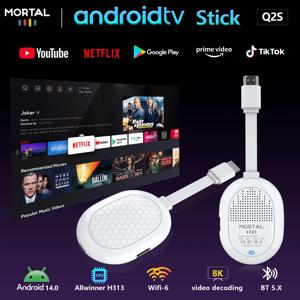 글로벌 안드로이드 14.0 올위너 H313 베스트셀러 TV 스틱 구글 보이스 리모컨 듀얼 2.4/5G 와이파이 6 BT 5.0 8K 비디오 디코딩 TV 박스