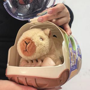 전기 Capybara 산책 인형 장난감 소리 어린이 전기 봉제 인형 장난감 동물 Capybara 플러시 그림 세트 무작위 색상