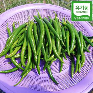 유기농 롱그린고추 500g