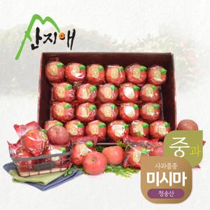 씻어나온 꿀사과 중과 4.5kg 1box / 청송산 미시마, 당도선별