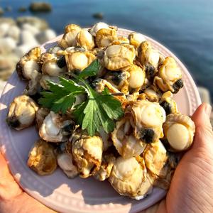 국내산 통통한 손질 자숙 가리비살 300g 500g 급냉 제철 수산 조개